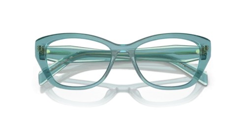 PRADA - Optical frames - PR 19WV - 16J1O1 - 53