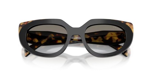 PRADA - Sunglasses - PR D02S - 0CD80L - 53