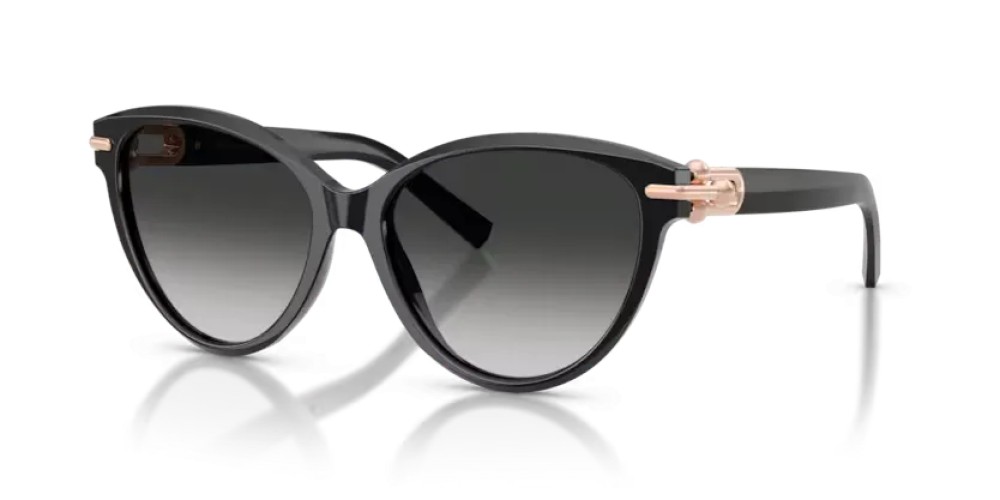 TIFFANY & CO. - Sunglasses - TF4261 - 80013C - 56