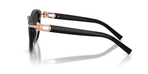 TIFFANY & CO. - Sunglasses - TF4261 - 80013C - 56