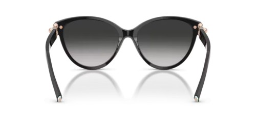 TIFFANY & CO. - Sunglasses - TF4261 - 80013C - 56