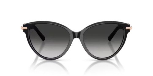 TIFFANY & CO. - Sunglasses - TF4261 - 80013C - 56