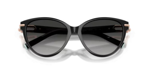 TIFFANY & CO. - Sunglasses - TF4261 - 80013C - 56