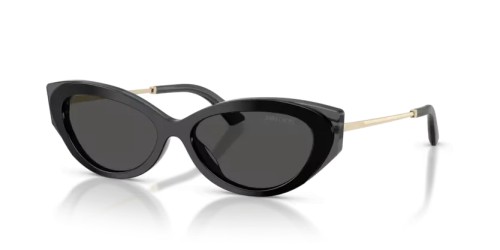 Jimmy Choo - Sunglasses - JC5065U - 510387 - 54