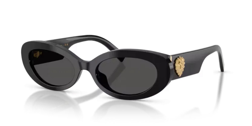 DOLCE & GABBANA - Sunglasses - DG4537 - 501/87 - 53