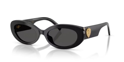 DOLCE & GABBANA - Sunglasses - DG4537 - 501/87 - 53