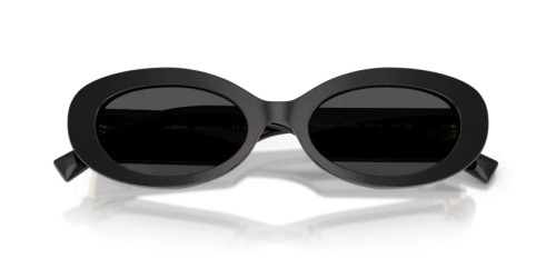 DOLCE & GABBANA - Sunglasses - DG4537 - 501/87 - 53