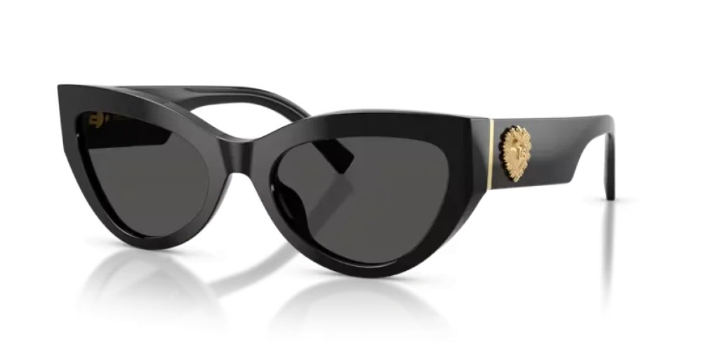 DOLCE & GABBANA - Sunglasses - DG4536 - 501/87 - 55