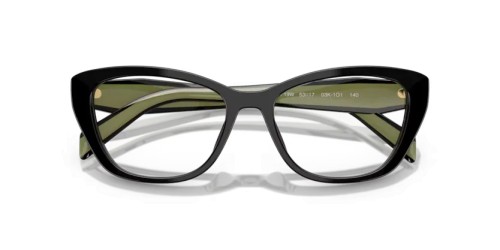 PRADA - Optical frames - PR 19WV - 03K1O1 - 53