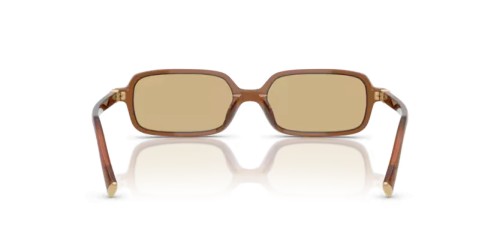 MIU MIU - Sunglasses - MU 11ZS - 22I10R - 51