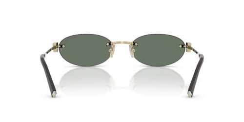 TIFFANY & CO. - Sunglasses - TF3119D - 623882 - 56