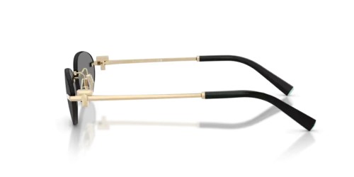 TIFFANY & CO. - Sunglasses - TF3119D - 602187 - 56
