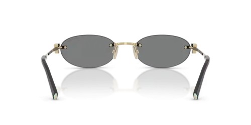 TIFFANY & CO. - Sunglasses - TF3119D - 602187 - 56