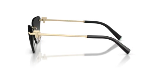 TIFFANY & CO. - Sunglasses - TF3120 - 62413C - 61