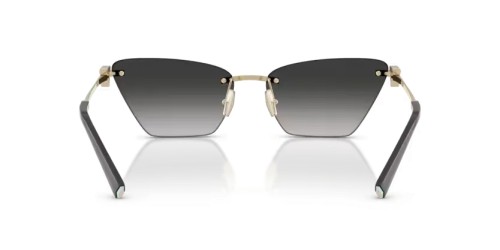 TIFFANY & CO. - Sunglasses - TF3120 - 62413C - 61