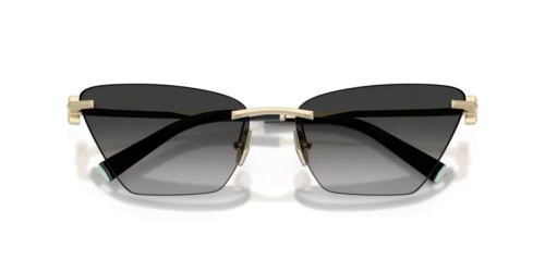 TIFFANY & CO. - Sunglasses - TF3120 - 62413C - 61