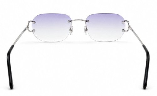 Cartier - Sunglasses - CT0092O With Purple Custom Lens - 002 - 53 - WITH PHOTOCROMIC LENS