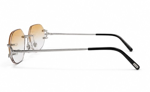 Cartier - Sunglasses - CT0092O With Custom Lens - 002 - 53 - WITH PHOTOCROMIC LENS