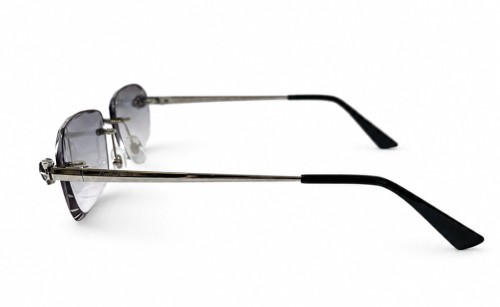 Cartier - Sunglasses - CT0448O With Custom Lens - 002 - 60 - WITH PHOTOCROMIC LENS