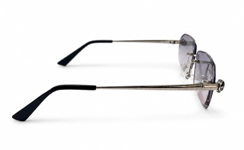 Cartier - Sunglasses - CT0448O With Custom Lens - 002 - 60 - WITH PHOTOCROMIC LENS