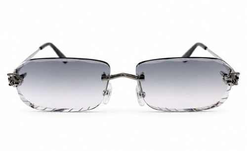 Cartier - Sunglasses - CT0448O With Custom Lens - 002 - 60 - WITH PHOTOCROMIC LENS