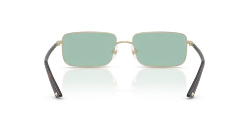 Jimmy Choo - Sunglasses - JC4027 - 3006/2 - 55