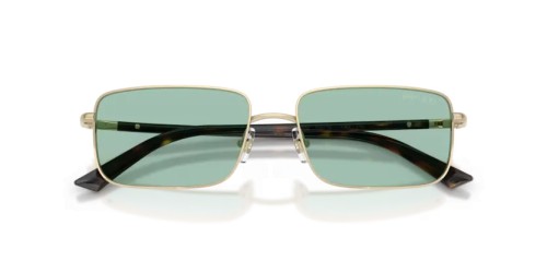 Jimmy Choo - Sunglasses - JC4027 - 3006/2 - 55