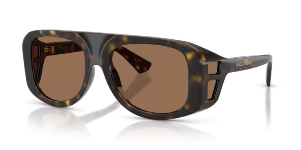 DOLCE & GABBANA - Sunglasses - DG6208 - 502/73 - 55