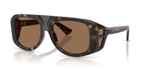 DOLCE & GABBANA - Sunglasses - DG6208 - 502/73 - 55