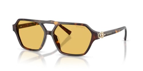 TIFFANY & CO. - Sunglasses - TF4264U - 801585 - 58