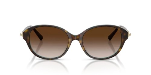 TIFFANY & CO. - Sunglasses - TF4263D - 81343B - 54