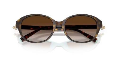TIFFANY & CO. - Sunglasses - TF4263D - 81343B - 54
