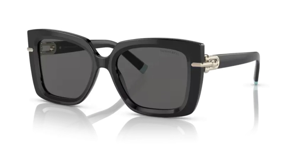 TIFFANY & CO. - Sunglasses - TF4199 - 8001S4 - 53