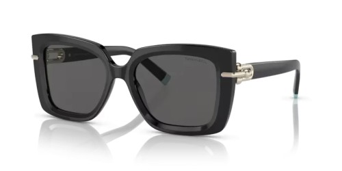 TIFFANY & CO. - Sunglasses - TF4199 - 8001S4 - 53