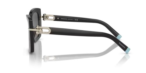 TIFFANY & CO. - Sunglasses - TF4199 - 8001S4 - 53