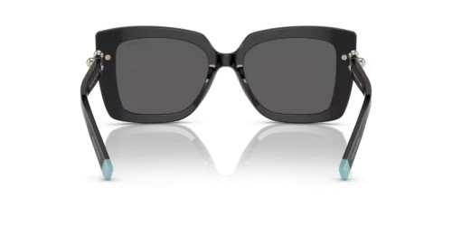 TIFFANY & CO. - Sunglasses - TF4199 - 8001S4 - 53