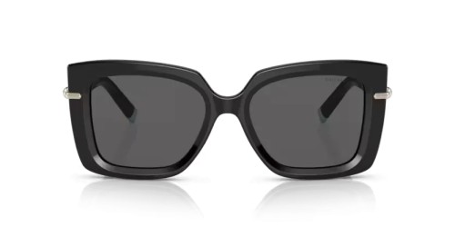 TIFFANY & CO. - Sunglasses - TF4199 - 8001S4 - 53