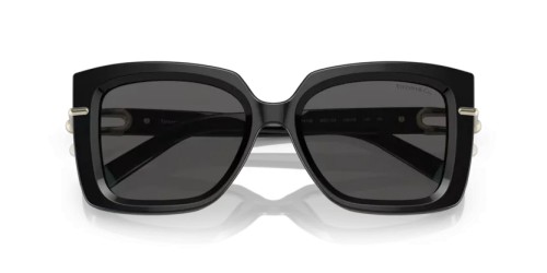 TIFFANY & CO. - Sunglasses - TF4199 - 8001S4 - 53
