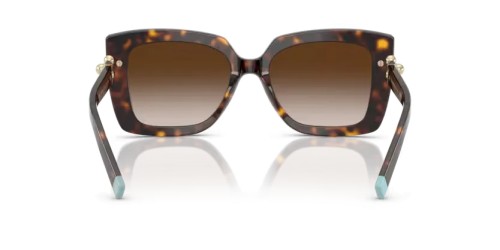 TIFFANY & CO. - Sunglasses - TF4199 - 80153B - 53