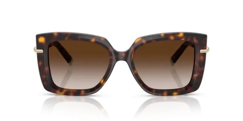 TIFFANY & CO. - Sunglasses - TF4199 - 80153B - 53