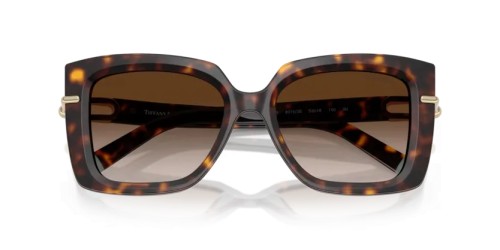 TIFFANY & CO. - Sunglasses - TF4199 - 80153B - 53