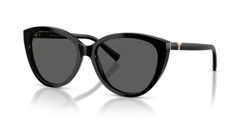 TIFFANY & CO. - Sunglasses - TF4251 - 8001S4 - 56