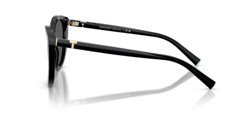 TIFFANY & CO. - Sunglasses - TF4251 - 8001S4 - 56