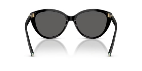 TIFFANY & CO. - Sunglasses - TF4251 - 8001S4 - 56