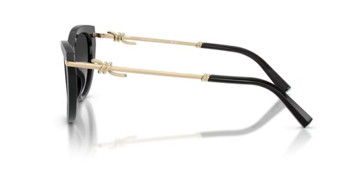 TIFFANY & CO. - Sunglasses - TF4253 - 80013C - 55