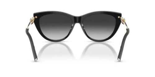 TIFFANY & CO. - Sunglasses - TF4253 - 80013C - 55