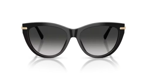 TIFFANY & CO. - Sunglasses - TF4253 - 80013C - 55