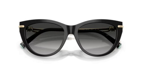 TIFFANY & CO. - Sunglasses - TF4253 - 80013C - 55
