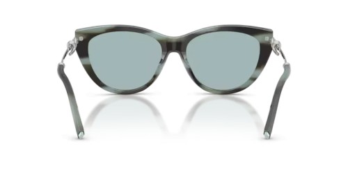 TIFFANY & CO. - Sunglasses - TF4253 - 84437C - 55
