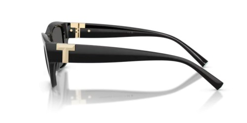 TIFFANY & CO. - Sunglasses - TF4255U - 8001S4 - 56